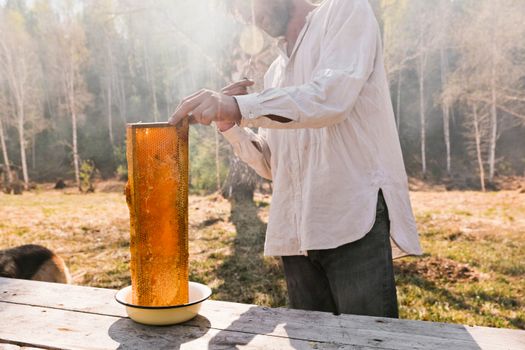 honey extraction