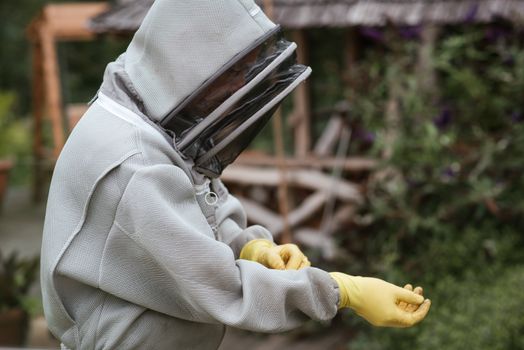 beekeeping equipment