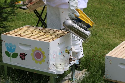 beekeeping equipment